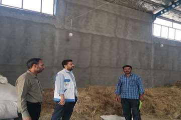 انبار خوراک دام